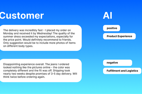 AI Topic Extraction for NPS or Product Reviews